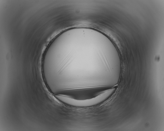 X0000097611480200803281003