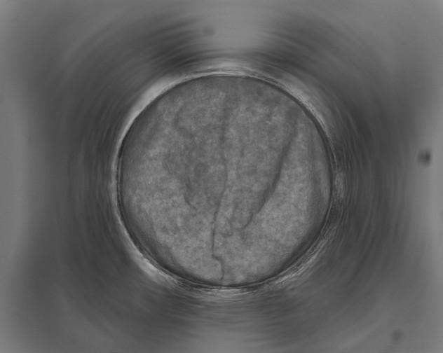 X0000097611482200803281003