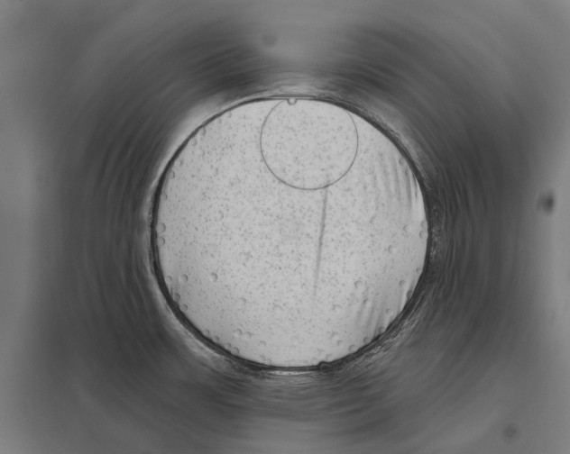 X0000097611483200803281003