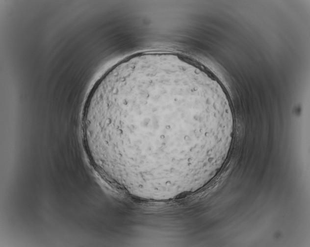 X0000097611485200803281003