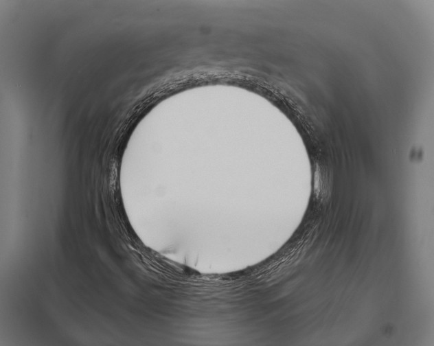 X0000097611492200803281002