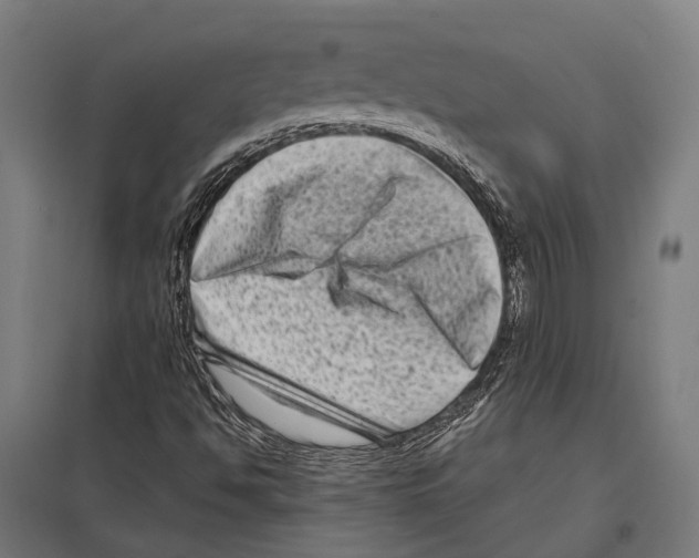 X0000097611494200803281002