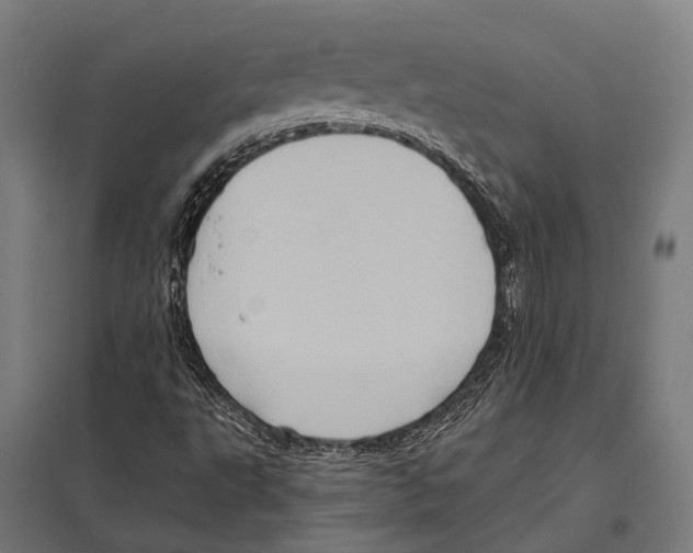 X0000097611495200803281002