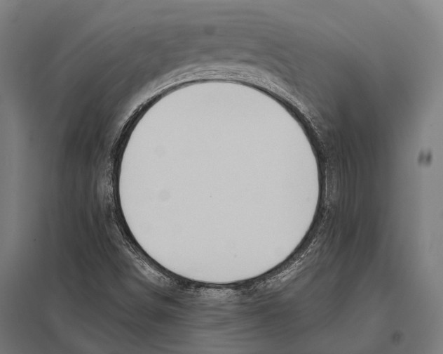 X0000097611498200803281002