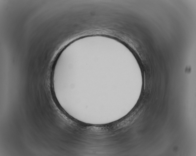 X0000097611500200803281002