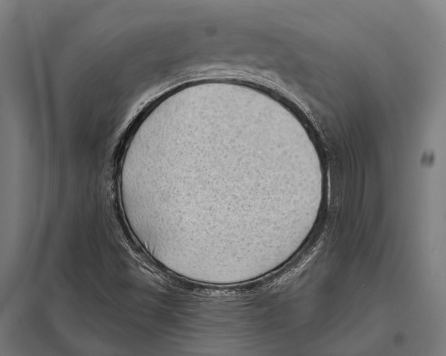 X0000097611501200803281002