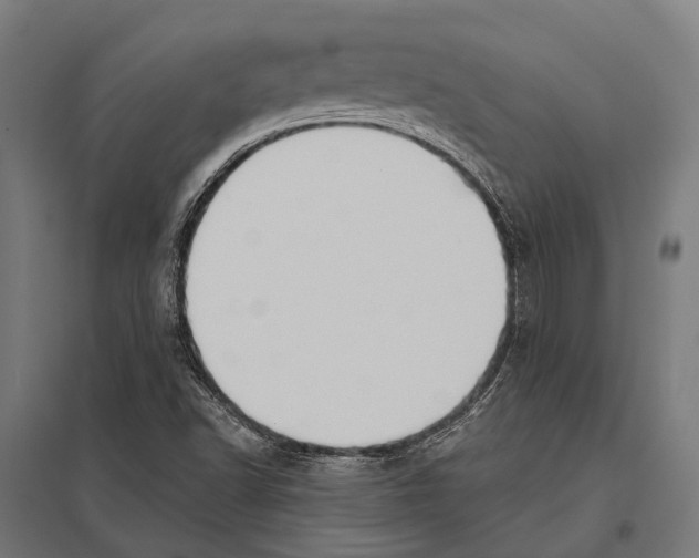 X0000097611502200803281002