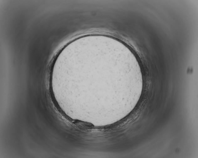 X0000097611504200803281002