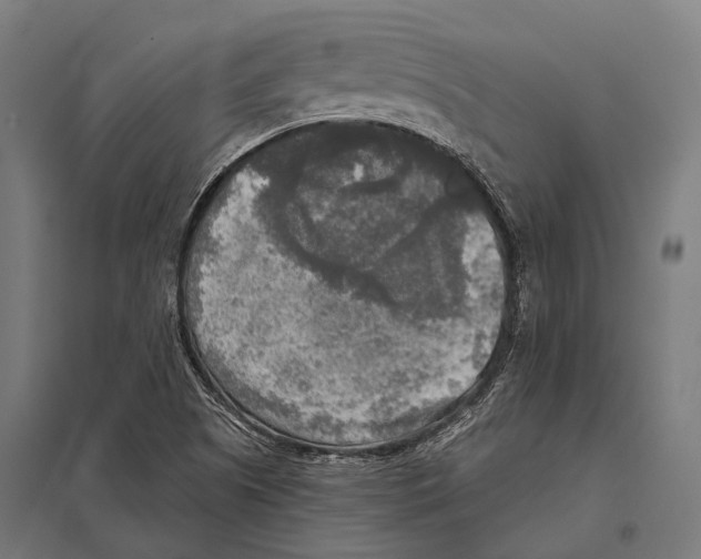 X0000097611505200803281002