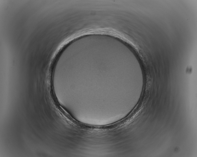 X0000097611506200803281002