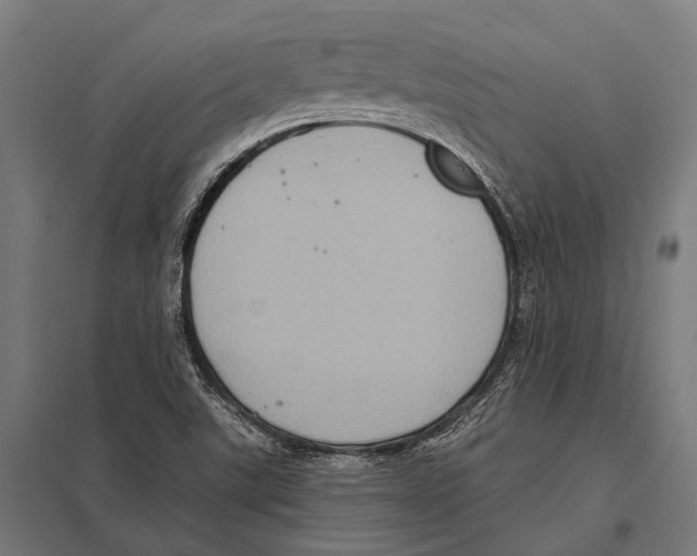 X0000097611507200803281002