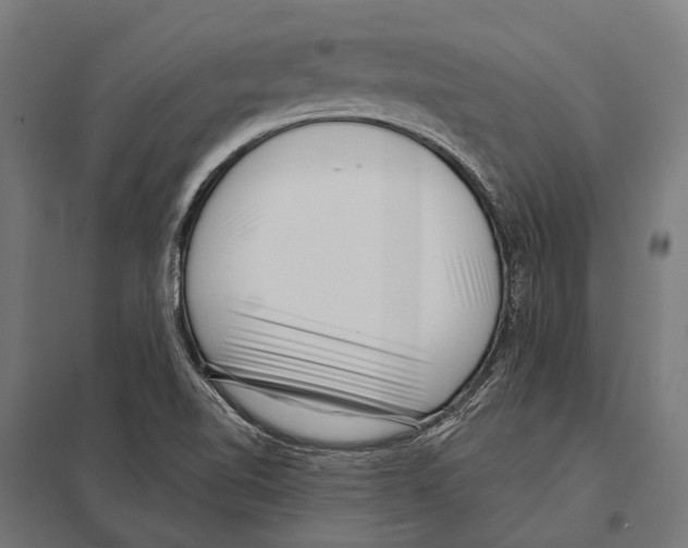 X0000097611510200803281002