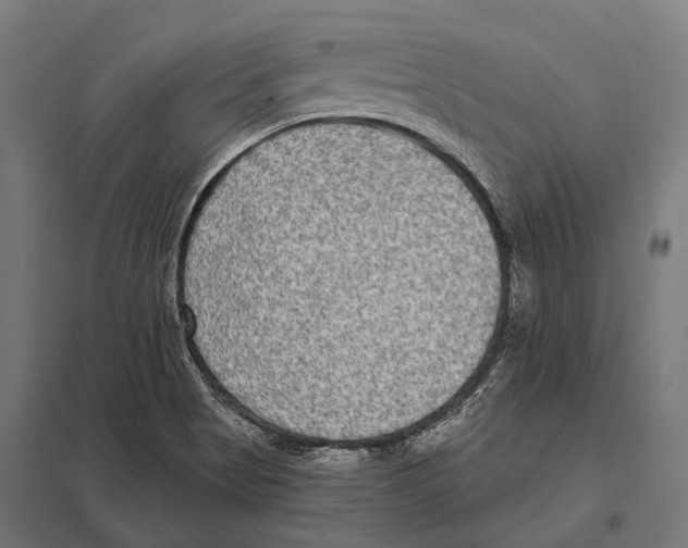 X0000097611513200803281002