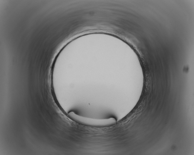 X0000097611516200803281002