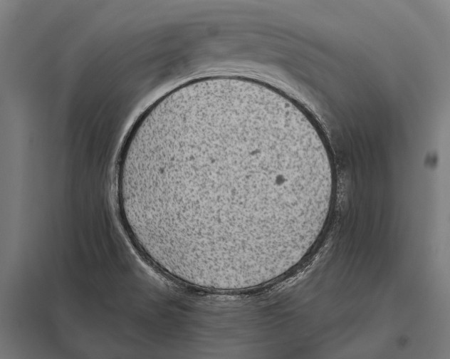 X0000097611517200803281002