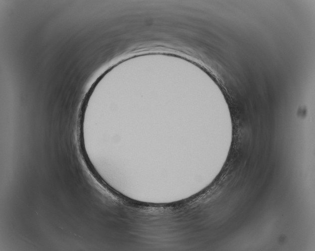 X0000097611518200803281002