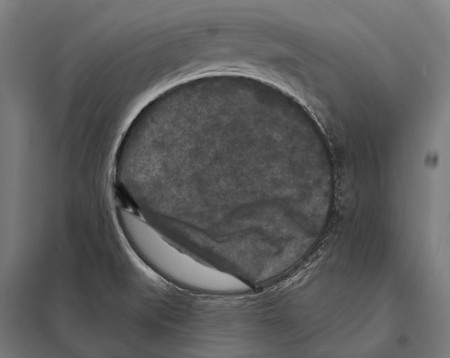 X0000097611519200803281002