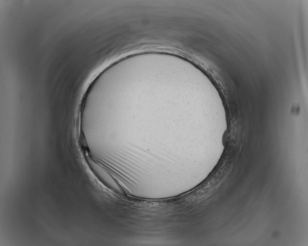 X0000097611520200803281002