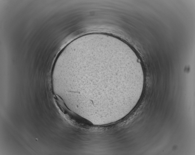 X0000097611521200803281002