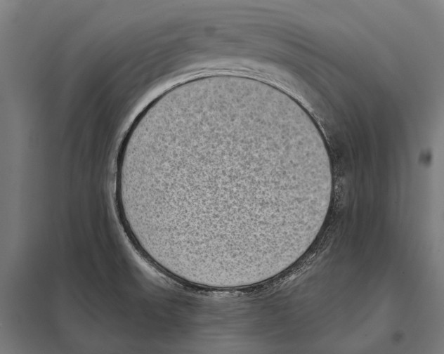 X0000097611523200803281002