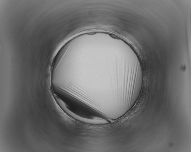 X0000097611524200803281002