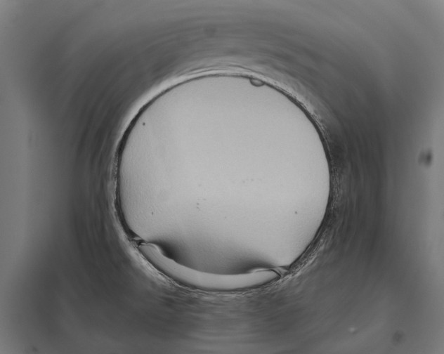 X0000097611526200803281002