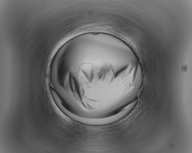 X0000097611528200803281002