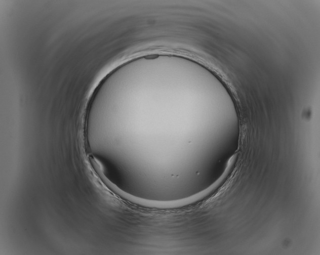 X0000097611530200803281002