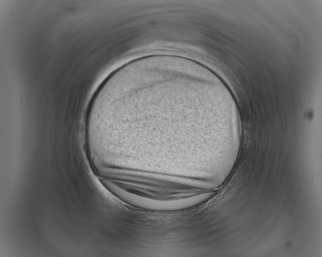 X0000097611531200803281002