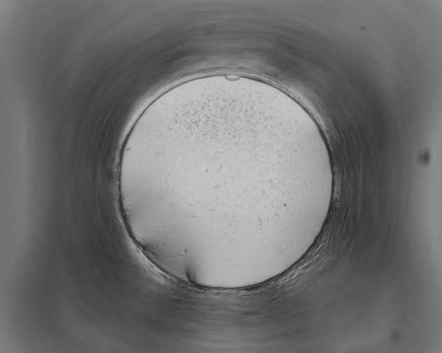 X0000097611532200803281002