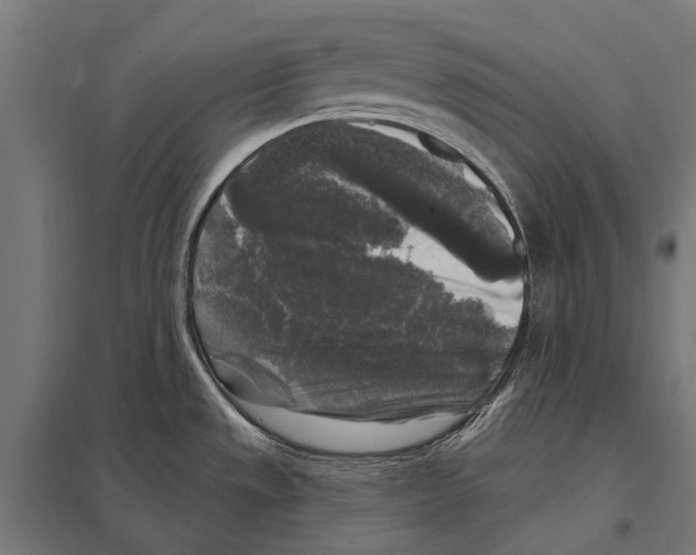 X0000097611533200803281002