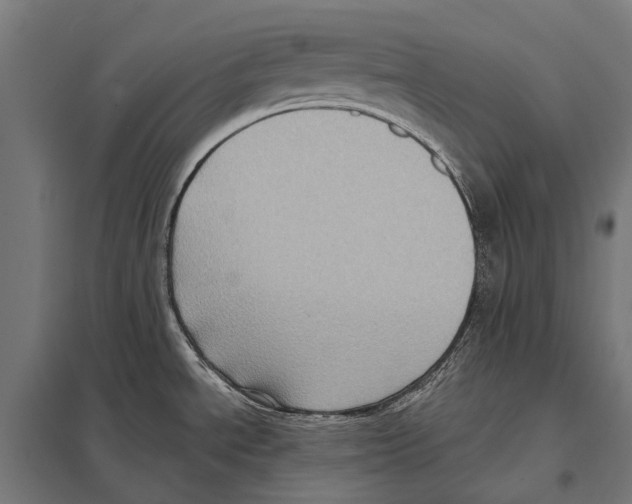 X0000097611534200803281002