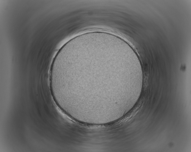 X0000097611535200803281002