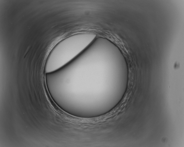 X0000097620003200802290831