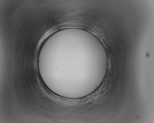 X0000097620004200802290831