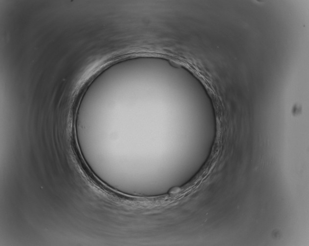 X0000097620005200802290831