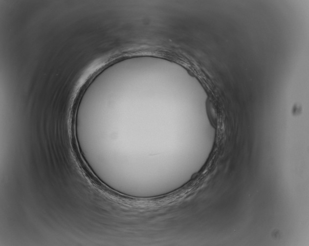 X0000097620006200802290831