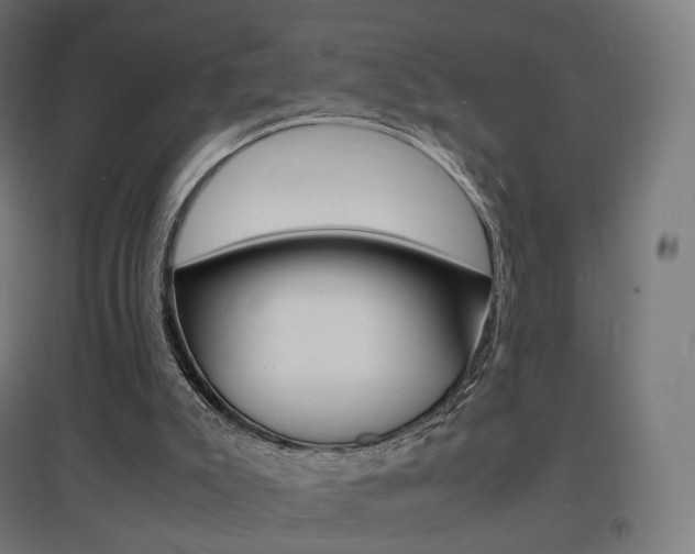 X0000097620007200802290831