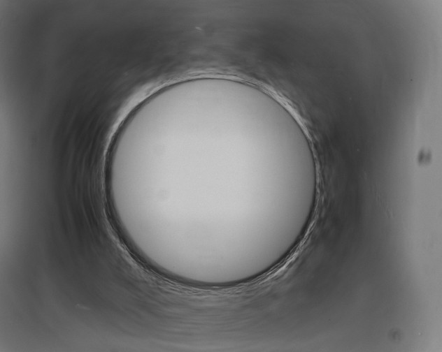 X0000097620008200802290831