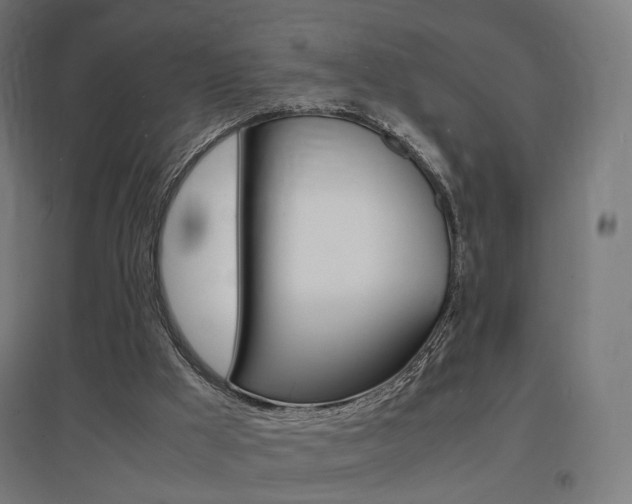 X0000097620009200802290831