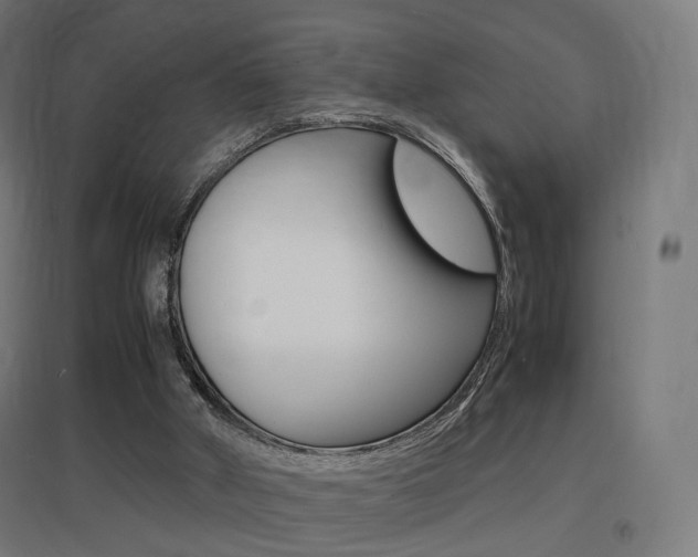 X0000097620010200802290831