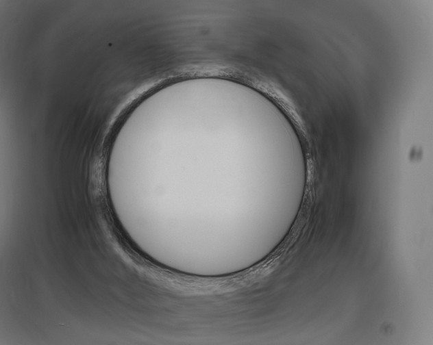 X0000097620012200802290831