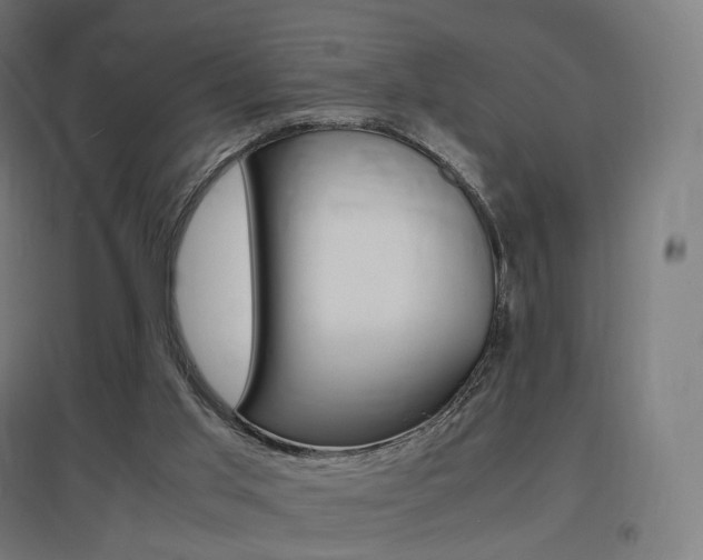 X0000097620013200802290831
