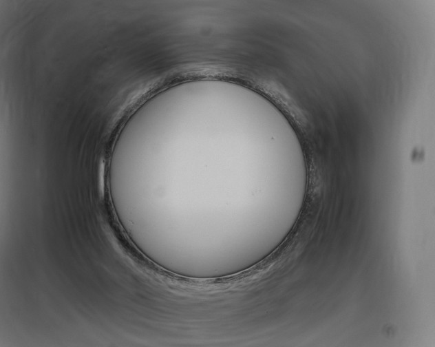 X0000097620014200802290831