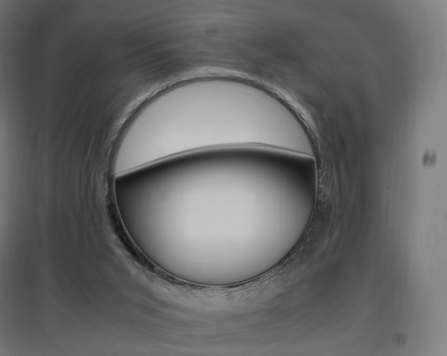 X0000097620015200802290831