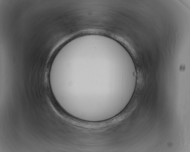 X0000097620016200802290831