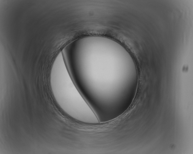 X0000097620017200802290830