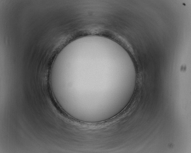 X0000097620018200802290830