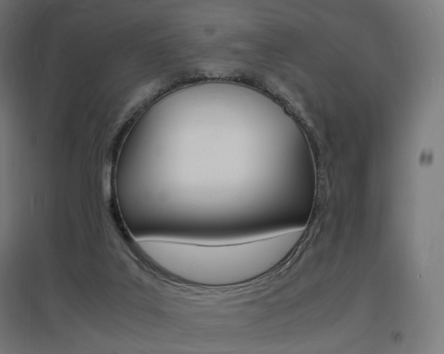 X0000097620019200802290830