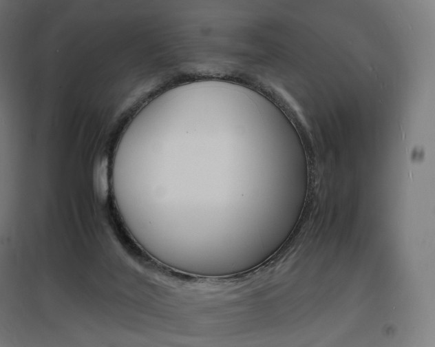 X0000097620020200802290830